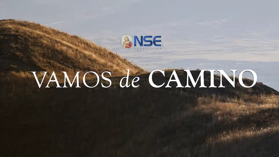Vamos-de-Camino-Final